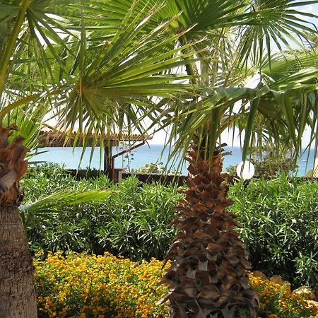 Villa Baia Di Cornino Custonaci Phòng bức ảnh