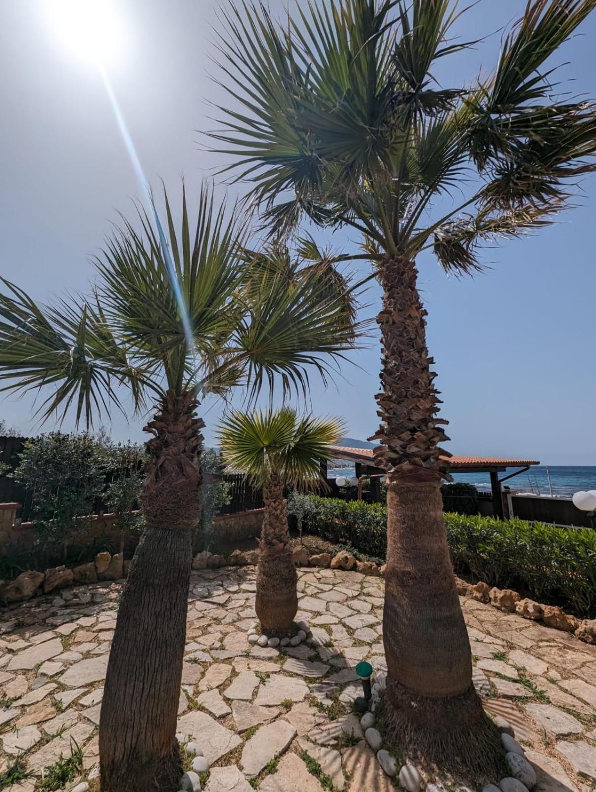 Villa Baia Di Cornino Custonaci Ngoại thất bức ảnh